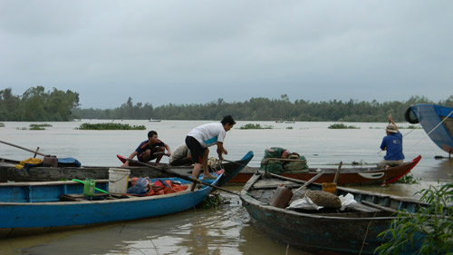 Xả lũ, dân đổ xô đi hớt cá - 12