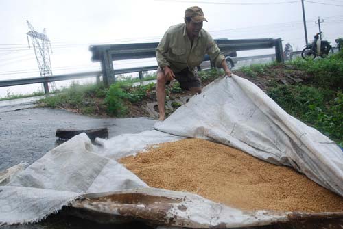 Chùm ảnh: Tan hoang vùng rốn lũ đi qua - 9