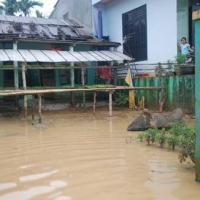 Tin tức trong ngày - Quảng Nam: Lũ chồng lũ, dân lại trắng tay