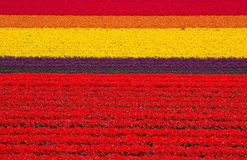 27 điểm du lịch nên tới một lần trong đời - 4