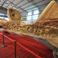 Phi thường - kỳ quặc - Bức tranh trên khúc gỗ đạt kỷ lục Guinness