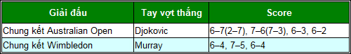 Djokovic-Murray 2013: Có trở thành vĩ đại? - 3