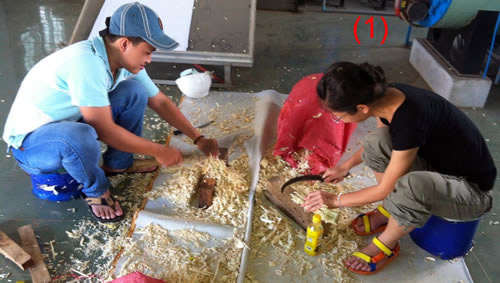 Sản xuất tấm panel từ phế phẩm nông nghiệp - 2