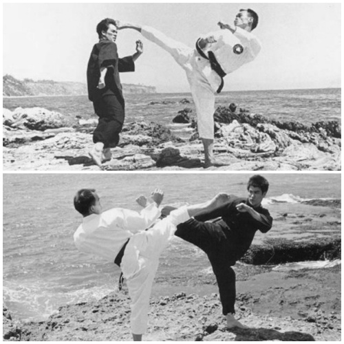 Những bậc thầy đưa Lý Tiểu Long "làm vua" - 9