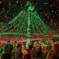 Tin tức trong ngày - Úc: Ngôi nhà lắp 50 vạn đèn nháy đón Giáng sinh
