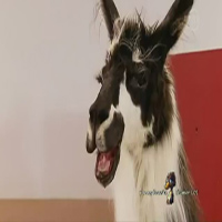 Video Clip Cười - Video clip hài: Phun mưa