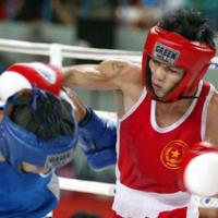Thể thao - Đội tuyển boxing Việt Nam dự SEA Games 27: Lo né Thái Lan, Philippines