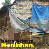 Tin tức trong ngày - Chồng bội bạc ôm tiền trúng số… kiếm người sinh quý tử