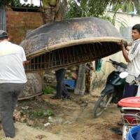 Tin tức trong ngày - Dự báo bão sai: Xử lý thế nào?