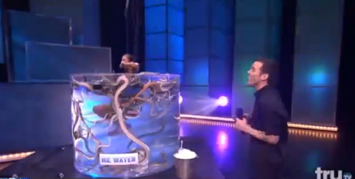 Thót tim vì những màn biểu diễn "độc" - 6