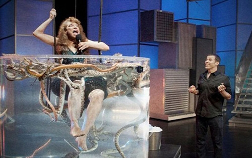 Thót tim vì những màn biểu diễn "độc" - 4