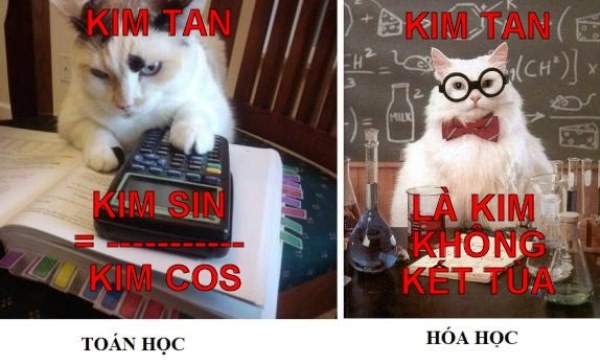 Ảnh chế hài hước về Kim Tan - 6