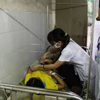 Sức khỏe đời sống - Ăn quả vông rừng, 10 trẻ mầm non ngộ độc