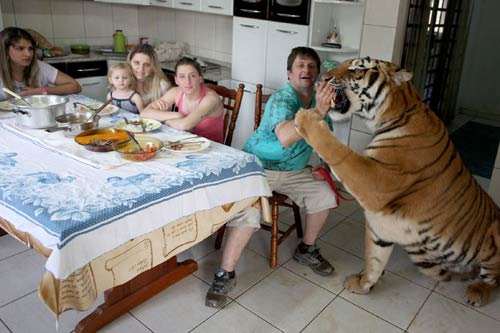 Gia đình chuyển giới và nghìn lẻ chuyện lạ đời - 8