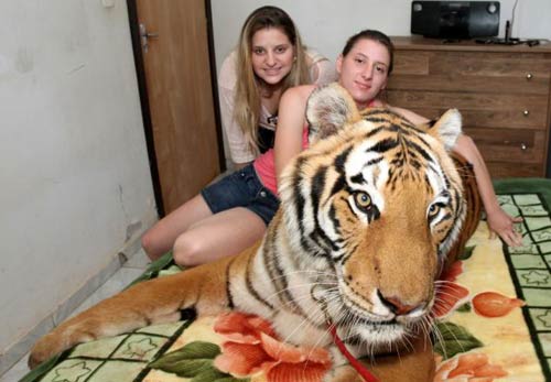 Gia đình chuyển giới và nghìn lẻ chuyện lạ đời - 9