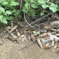 Tin tức trong ngày - Nổ kíp mìn, 3 học sinh bị thương