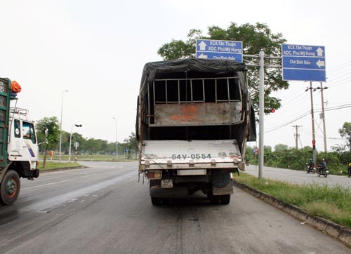 Lật xe, tài xế kẹt cứng, dầu cá tràn đại lộ - 5