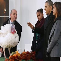 Ảnh ấn tượng: Tổng thống Mỹ xá tội cho gà tây