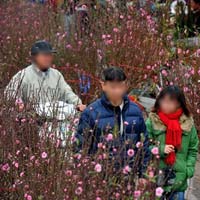 Tin tức trong ngày - Nghỉ Tết sớm vì "đến cơ quan cũng chẳng làm gì”?