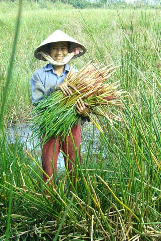 Rủ nhau ăn năn! - 2