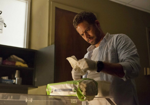 Hours - bộ phim cuối xúc động của Paul Walkers - 3