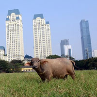 Tin tức trong ngày - Toàn cảnh hai quận mới của Thủ đô