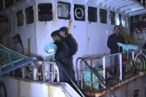 Giải cứu 75 "nô lệ trên biển" người Indonesia - 2