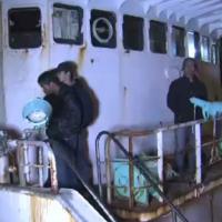 Tin tức trong ngày - Giải cứu 75 "nô lệ trên biển" người Indonesia