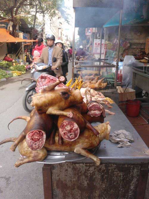 Thức ăn chín ở vỉa hè, tẩm đầy bụi đường - 2