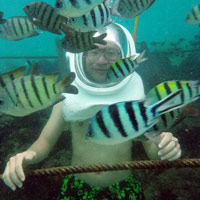 Du lịch - Thử cảm giác đi bộ dưới đáy biển ở đảo Sapi