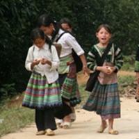 Tin tức trong ngày - Tiếng thét kinh hoàng mùa "cướp" vợ