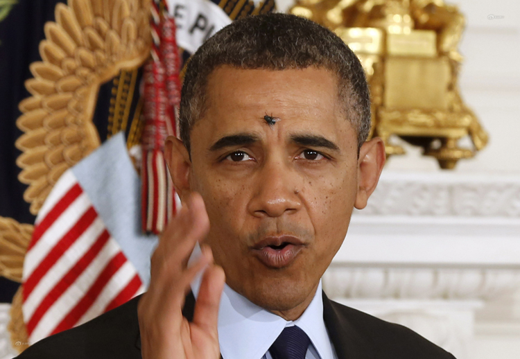 Một con ruồi đậu trên trán của Tổng thống Mỹ Barack Obama trong khi ông đang phát biểu tại Nhà Trắng hôm 24/1/2013.
