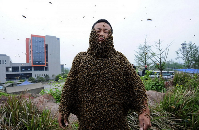 Người đàn ông để hàng nghìn con ong đậu kín cơ thể
