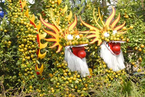 Vựa hoa miền Tây trước ngày ra chợ Tết - 9