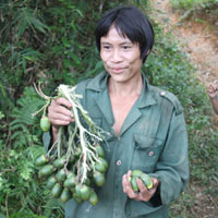 "Người rừng" Hồ Văn Lang muốn có vợ