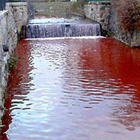 Phi thường - kỳ quặc - Nước sông đỏ như máu sau một đêm