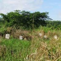 Tin tức trong ngày - Trường bắn Long Bình: “Thánh địa” lô đề