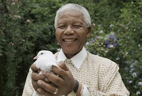Nelson Mandela lại nhập viện vì bệnh phổi - 1