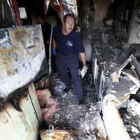 Tin tức trong ngày - Mỹ: Chó "phóng hỏa" đốt rụi nhà chủ nhân