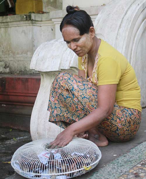 Cận cảnh chùa dát vàng của chủ nhà SEA Games - 15