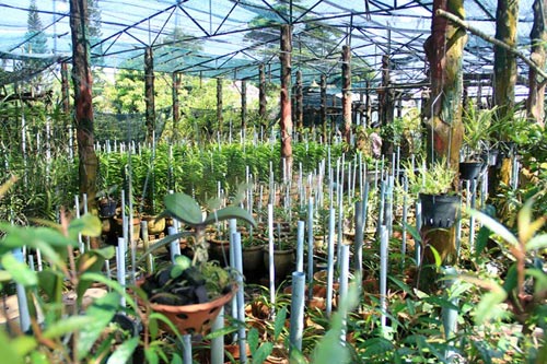 Choáng với gia sản ở quê của 3 sao Việt - 3