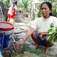 Tin tức trong ngày - Hoang mang chết trẻ ở "xóm ung thư"