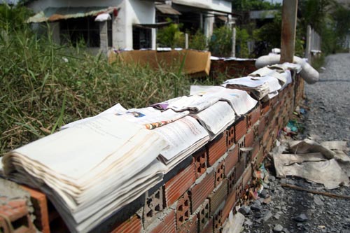 Vụ vỡ bờ bao: Nông dân trồng mai trắng tay - 7