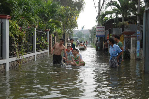 Vụ vỡ bờ bao: Nông dân trồng mai trắng tay - 9