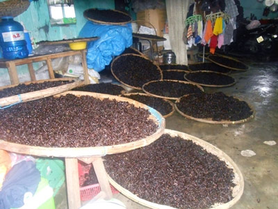 Đánh cược mạng sống với nghề "ăn mứt" - 2