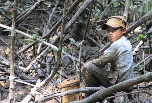 Những đứa trẻ bắt giun trong rừng Đước - 1