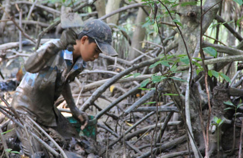 Những đứa trẻ bắt giun trong rừng Đước - 5