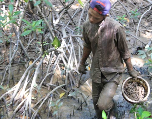 Những đứa trẻ bắt giun trong rừng Đước - 8