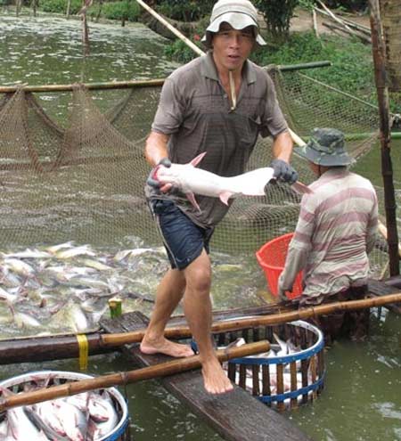 Dè dặt bơm vốn cho ĐBSCL - 1