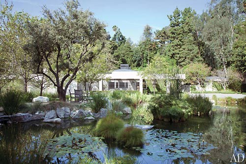 Nữ MC đồng tính thành danh nhất thế giới - 6